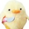 Ducki