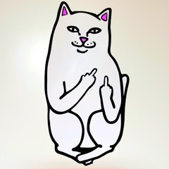 Alicia in Wonderland