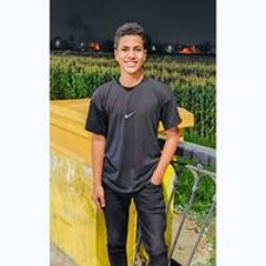 Hesham Waled