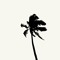 Island Keys