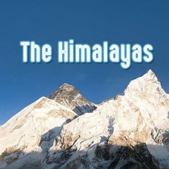 Dulcet@himalayanbeats