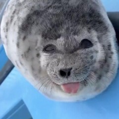 Tangamandapio