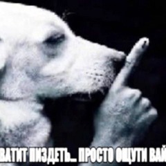 vanya.qpg