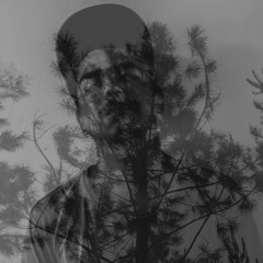 Guillermo Daniel Gacitua