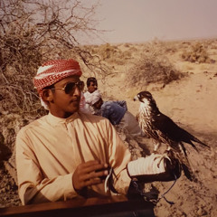 شمسه حشر