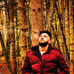 أسامة الوتار