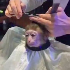 epicfag