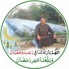 محمد الشرقاوى