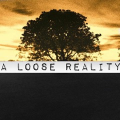 LooseRealityInc