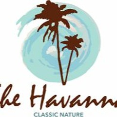 The Havanna Classic Nature