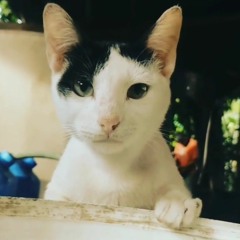 Sticky Fingers - One by one (acoustic)