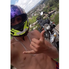 igorsg_244