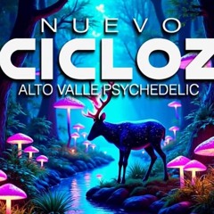 NUEVO CICLOZ