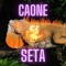 SETA7a