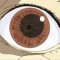 igotnameIwakuraHaruno