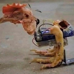 пять ночей с пивом и мс жека белый