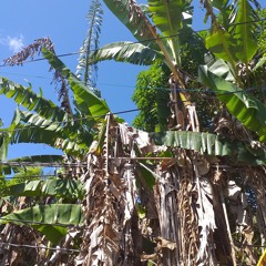 Maarten East-End-Rock