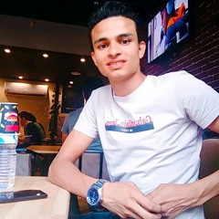 محمد ربيع