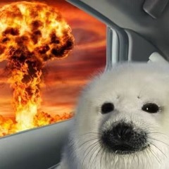 seal fan