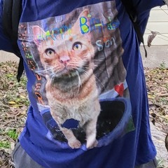 Orange Cat Music