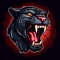 PANTHER PROMO