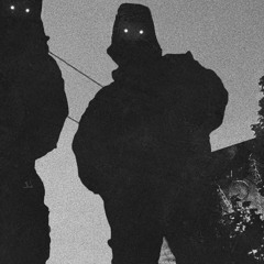 The Virus and Antidote