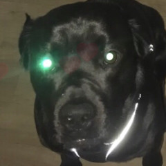 chatokromer