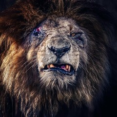 community forest garden & resource hub