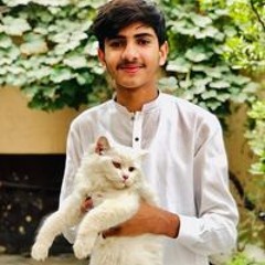 M. Huzaifa Naeem