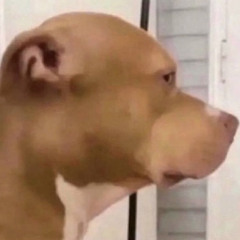 S*phia St*rbucks