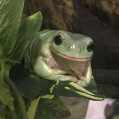 xxx ◝(⑅•ᴗ•⑅)◜..°♡xxx