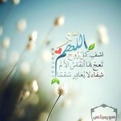 Hanaa AF Amer