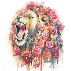 P.Rose