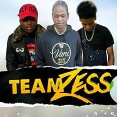Team Zess