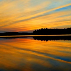 MoJo&HamBone☆NewBrew2025