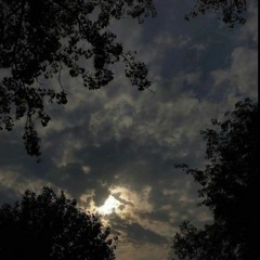 moonlight