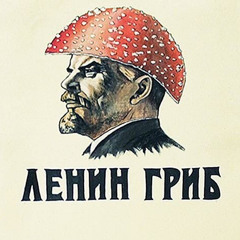 юзэр123521567