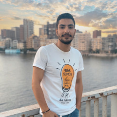 Mohamed Atef 347