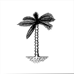 🌴 t h e  •  p a r a d i s o s 🌴