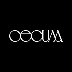 Cecum