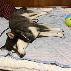 i'm not sure, ひよりかもしれない