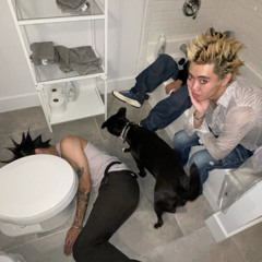 alpha