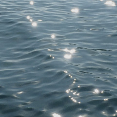 𝑆𝑒𝑎𝑠𝑜𝑛••