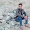 Mubashir Gillani