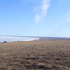 В004КО124