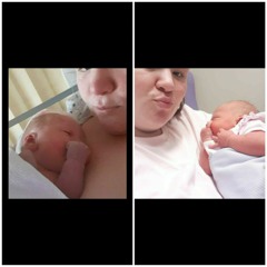 charlotteWebsterHollis