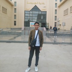 Amr Noby