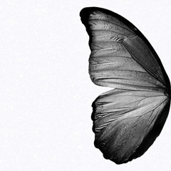 •Fatimah •in