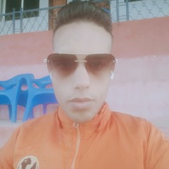 Ahmed S. Sedky