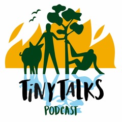 TinyTalk15 - Duurzame Energie For Dummies